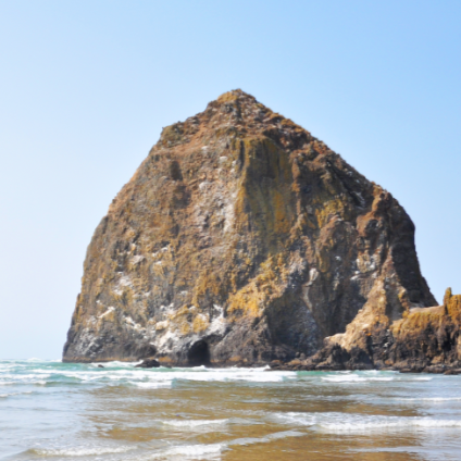 19420572_1490982364356451_4926892276620713904_n 19420572_1490982364356451_4926892276620713904_n